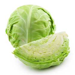 cabbage1